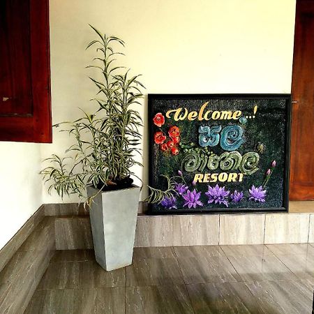 Salmanel Resort Ratnapura Exteriér fotografie